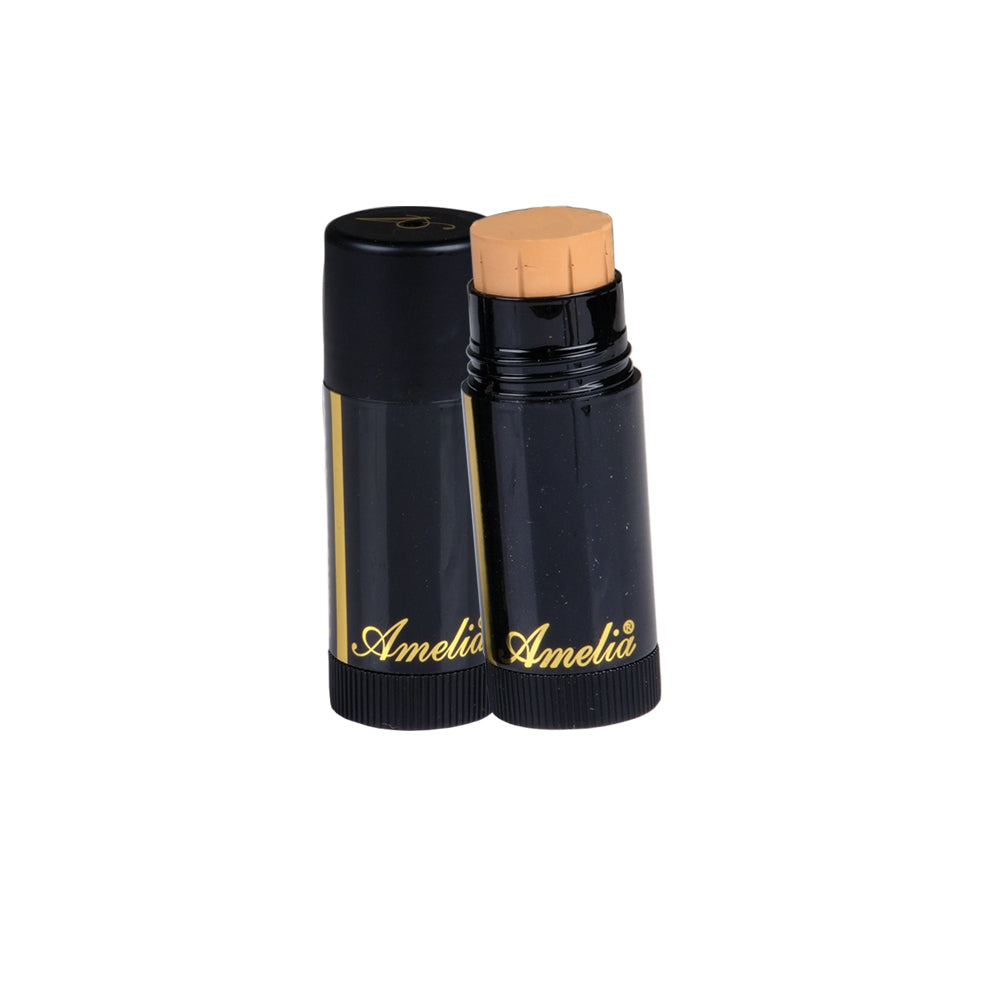 Amelia T.V Paint Stick (13 Shades)